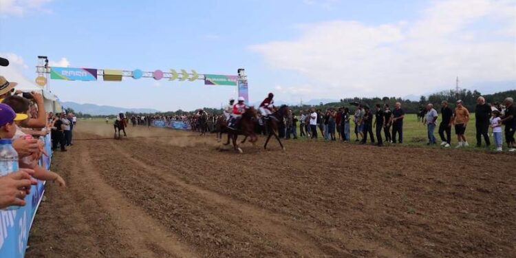 ვიდეო – ნაგომარში დოღი – „ოზურგეთის თასი 2024“ გაიმართა