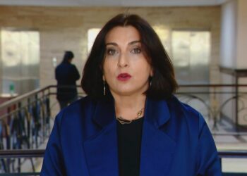 სარჩელი, ემიგრანტებისთვის დამატებითი უბნების გახსნაზე, სასამართლომ არ დააკმაყოფილა