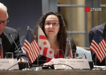 NDI-ის პრეზიდენტი – პარლამენტმა მყისიერად უნდა გაიწვიოს უცხოური გავლენის შესახებ კანონი, რათა გაუქმდეს დესტრუქციული ზეგავლენა სამოქალაქო საზოგადოების ორგანიზაციებზე, მედიებზე