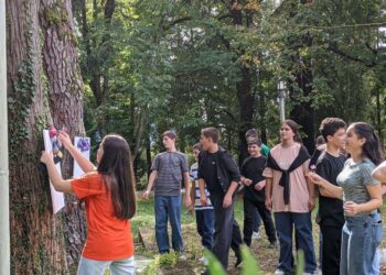 მეოთხე საჯარო სკოლის მეცხრეკლასელების ღია გაკვეთილი