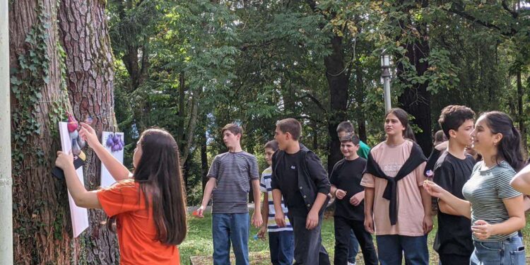 მეოთხე საჯარო სკოლის მეცხრეკლასელების ღია გაკვეთილი