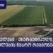 მზის პანელები – ენერგეტიკული თავისუფლების წყარო რეგიონებში