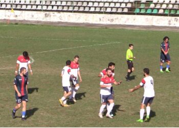 ოზურგეთის “მერცხალმა” შინ მორიგი გამარჯვება მოიპოვა