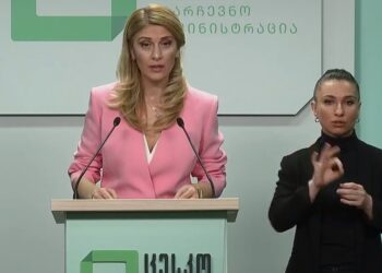 ცესკომ ამ დროისათვის მიმდინარე მოვლენებზე ბრიფინგი გამართა