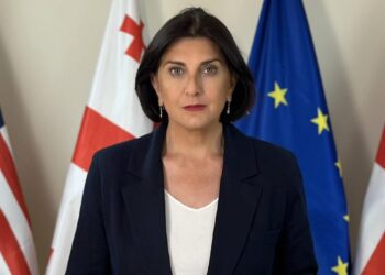 კორძაია: ვერიფიკაციის აპარატები მონაცემების დუბლირების საშუალებას იძლეოდა