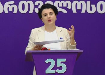 საუბნო და საოლქო კომისიებში თავმჯდომარეებად და მოადგილეებად ცესკომ “ოცნების” პარტაქტივთან დაკავშირებული ადამიანები შეარჩია – პარტია საქართველოსთვის