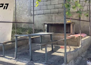 თბილისში მომხდარი მკვლელობის შესახებ ახალი დეტალები ხდება ცნობილი