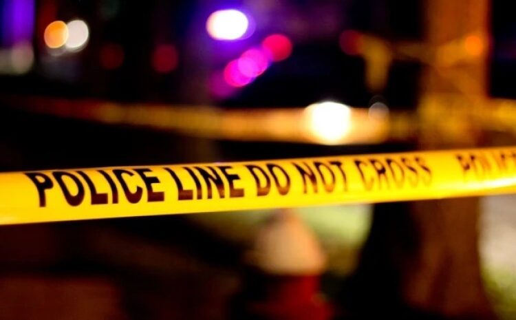 “სატ­ვირ­თო მან­ქა­ნით მოძ­რა­ობ­და და გა­ი­ტა­ნა ყვე­ლა­ნი” – ავარიის დეტალები რომელსც 4 ადამიანი ემსხვერპლა