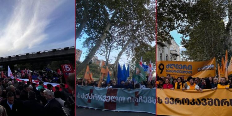 “საქართველო ირჩევს ევროკავშირს” – თბილისში სახალხო მარში დაიწყო
