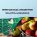 საქსტატი-“განათლება, ტანსაცმელი, ტრანსპორტი გაძვირდა” – სექტემბრის თვის გაძვირებული და შემცირებული ფასები სექტორების მიხედვით