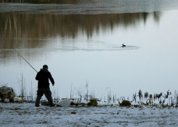 ცვლილებები, რომელიც დღეიდან ამოქმედდება საქართველოს მოქალაქეებისთვის