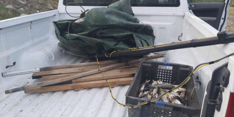 რომელ რეგონებში ფიქსირდება უკანონო თევზჭერის ყველაზე მეტი ფაქტი