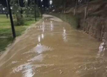 3 დღის წინ გახსნილი ზღვისპირა პარკის ნაწილი დაიტბორა