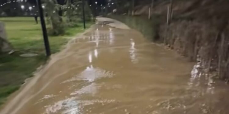 3 დღის წინ გახსნილი ზღვისპირა პარკის ნაწილი დაიტბორა