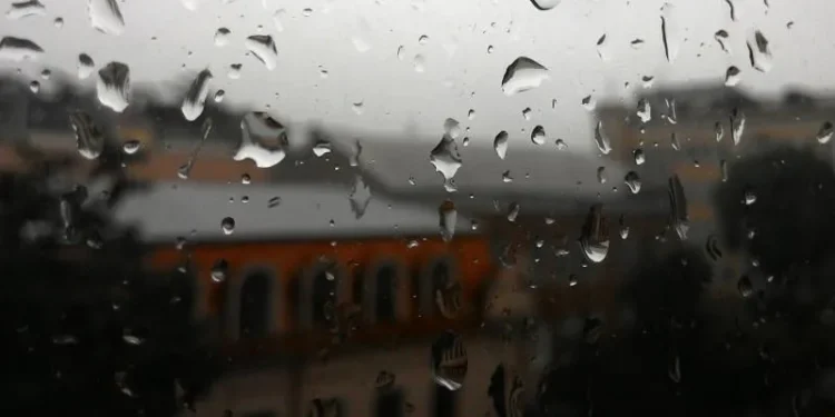 წვიმა