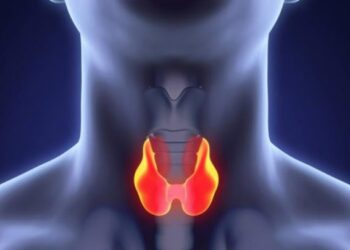 რომელი საკვები აზიანებს ფარისებრ ჯირკვალს