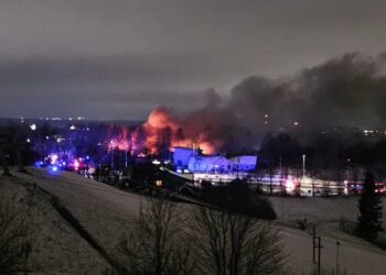 ვილნიუსის აეროპორტთან სატვირთო თვითმფრინავმა კატასტროფა განიცადა