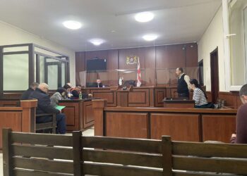 ოზურგეთის სასამართლომ საიას სარჩელი არ დააკმაყოფილა