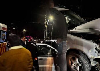 ავტომანქანა ხეს შეეჯახა – დაშავებულია ერთი ადამიანი