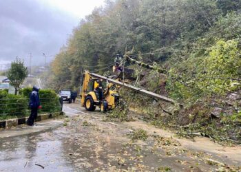 ნაბეღლავში მეწყერი ჩამოწვა – დაზიანებულია ელექტროგადამცემი ბოძები, გზის საფარი