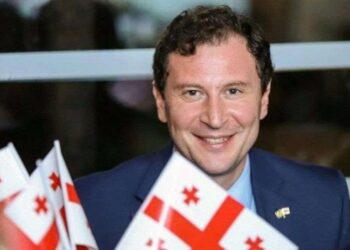 ნიდერლანდების სამეფოში საქართველოს ელჩი, დავით სოლომონია გადადგა