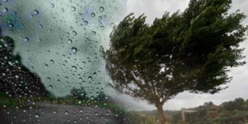 წვიმა და ქარი