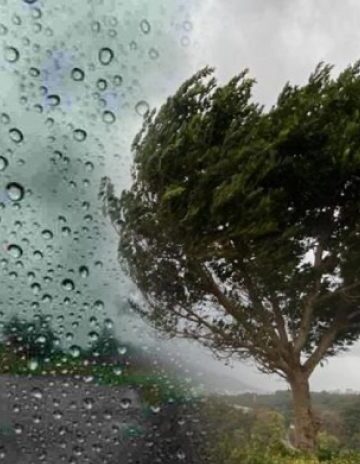 წვიმა და ქარი