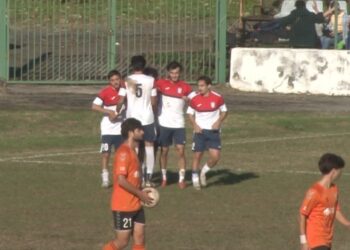 ”მერცხალმა” მორიგი გამარჯვება მოიპოვა და მეოთხე ლიგაში ადგილი შეინარჩუნა