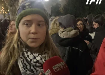 გრეტა თუნბერგი – აღმაშფოთებელი, ავტორიტარული განვითარებაა, რაც ახლა საქართველოში ხდება