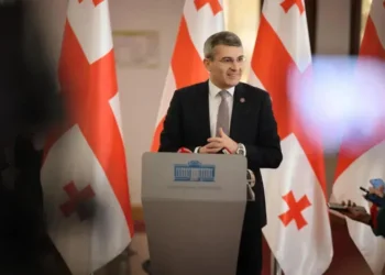 მამუკა მდინარაძე – სამშობლოს სიყვარულს დიპლომი არ სჭირდება, მიხეილ ყაველაშვილი დიპლომის გარეშეც ბევრზე მეტად განათლებულია! აგერ, ორ-ორი დიპლომი რომ ჰქონდათ ჩვენ პრეზიდენტებს, ხომ ააშენეს ქვეყანა!