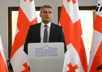 ირაკლი ღარიბაშვილი და კონსტანტინე გამსახურდია პრეზიდენტის პოსტზე არ განიხილებიან – მამუკა მდინარაძე