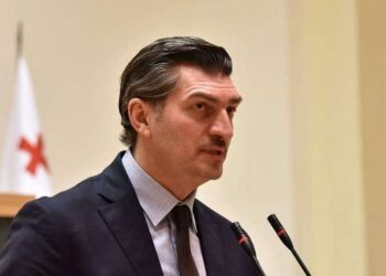 პარლამენტში ყაველაშვილის განათლების დამადასტურებელი დოკუმენტაცია არ ინახება – პრეზიდენტობის კანდიდატის ბიოგრაფია