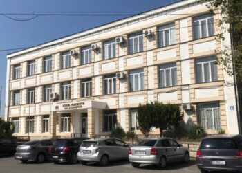 გორის სასამართლომ 15 უბანზე ბათილი ბიულეტინების გადათვლის შესახებ ISFED-ის სარჩელი დააკმაყოფილა