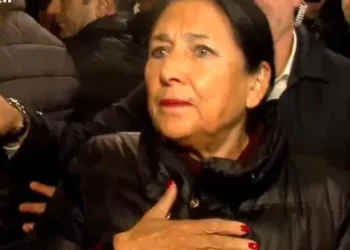 პრეზიდენტი პარლამენტთან მიმდინარე საპროტესტო აქციაზე მივიდა