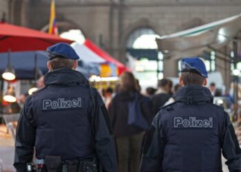 შვეიცარიაში, ქურდობის ბრალდებით, ქართველი ახალგაზრდა კაცი დააკავეს