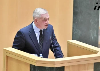 პარლამენტის პირველ ვიცე-სპიკერად გია ვოლსკი, ვიცე-სპიკერებად კი თეა წულუკიანი და ნინო წილოსანი აირჩიეს