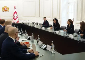 სალომე ზურაბიშვილი ევროკავშირის 8 ქვეყნის საგარეო ურთიერთობათა კომიტეტის თავმჯდომარეებს ხვდება