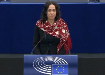 ლექსმანი: პრეზიდენტ ზურაბიშვილის ევროპარლამენტში გამოსვლა პატივია