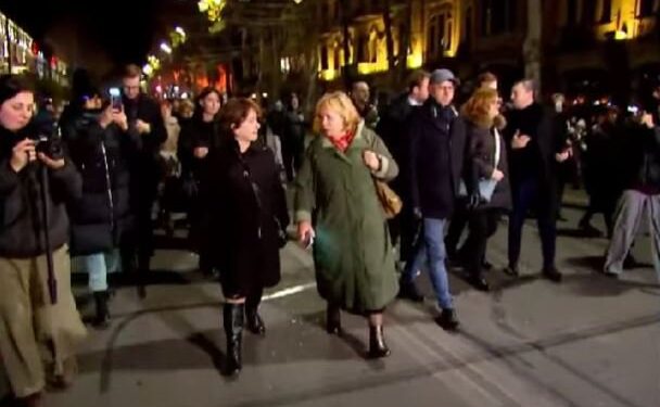 ევროპარლამენტარები რუსთაველის გამზირზე აქციას შეუერთდნენ