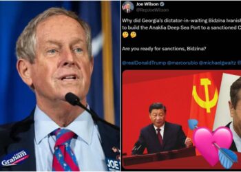 “მზად ხარ სანქციებისთვის, ბიძინა?” – კონგრესმენი ჯო უილსონი