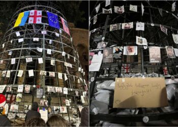 რუსთაველზე პროტესტი გრძელდება – მოქალაქეებმა პარლამენტის წინ ნაძვის ხეზე დემონსტრაციებისას დაშავებული, ნაცემი ადამიანების ფოტოები დაკიდეს