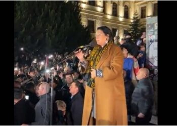 სალომე ზურაბიშვილს სიტყვით გამოსვლის გაგრძელება ე.წ. მეგაფონით მოუწია – სცენაზე მიკროფონი გაითიშა