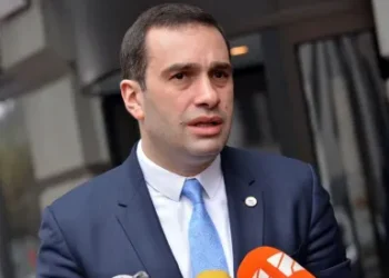 ირაკლი ალასანია – ხალხის ხმის ძალადობრივი ჩახშობა მიუღებელია