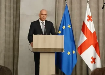 ევროსაბჭოს გენერალური მდივნის განცხადებით, მთავრობისგან მიიღო დაპირება, რომ „უცხოური გავლენის გამჭვირვალობის შესახებ“ კანონს შეცვლის