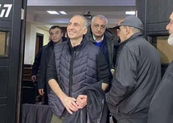 ალეკო ელისაშვილი პატიმრობიდან გათავისუფლდა