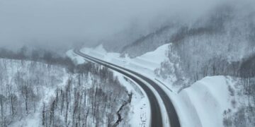 უამინდობის გამო რიკოთის უღელტეხილზე შეზღუდვებია დაწესებული