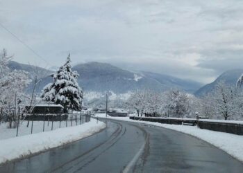 რომელ შიდასახელმწიფოებრივი მნიშვნელობის გზაზე შეიძლება მისაბმელიანი და ნახევრადმისაბმელიანი ავტოტრანსპორტის მოძრაობა