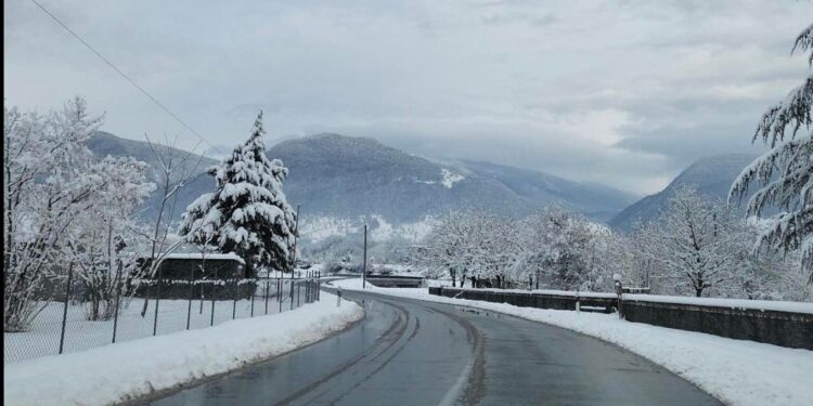 რომელ შიდასახელმწიფოებრივი მნიშვნელობის გზაზე შეიძლება მისაბმელიანი და ნახევრადმისაბმელიანი ავტოტრანსპორტის მოძრაობა