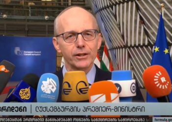 ფრიდენი: მოვუწოდებთ საქართველოს ლიდერებს, პატივი სცენ ადამიანის ფუნდამენტურ უფლებებს