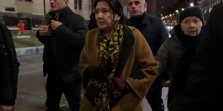 რუსთაველის გამზირზე მიმდინარე აქციას პრეზიდენტი, სალომე ზურაბიშვილი შეუერთდა